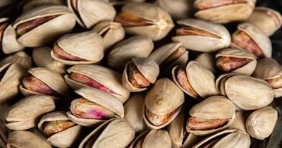 پسته اکبری - بازرگانی عدالت