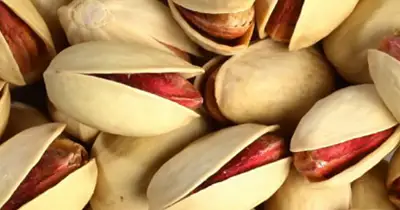 پسته احمد آقایی - بازرگانی عدالت