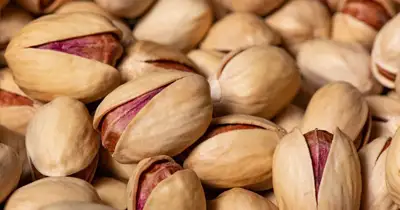 پسته فندقی - بازرگانی عدالت