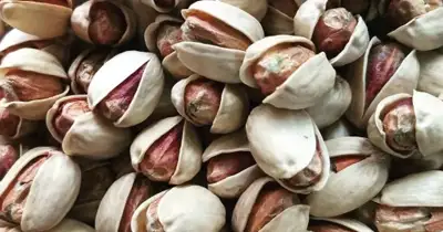 پسته کله قوچی - بازرگانی عدالت