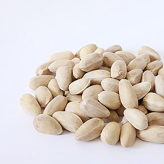 پسته اکبری دهن بست - بازرگانی عدالت