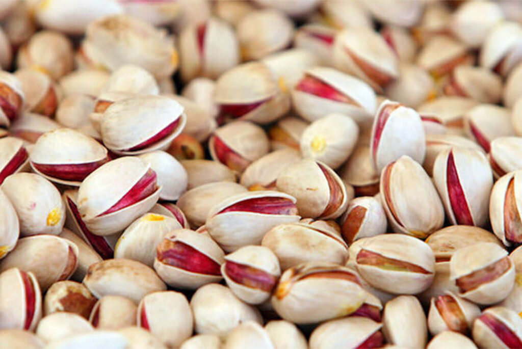 صادرات پسته